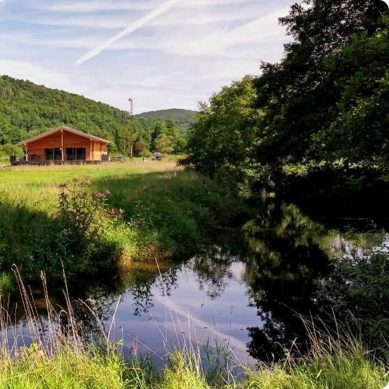 Lichtung 3 Waldseminarhaus